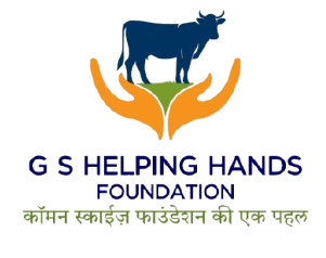 G.S. Helping Hands Foundation