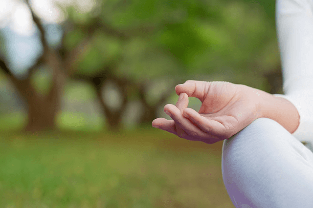 International Yoga Day